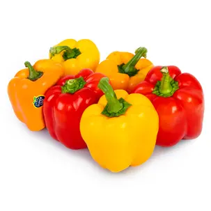 a0dafd84-be71-4226-829f-85639d590572 فلفل دلمه رنگی 500 گرمی - تصویر 1